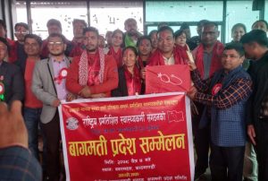 Read more about the article राष्ट्रिय प्रगतिशिल स्वास्थ्यकर्मी संगठनको बागमती प्रदेश प्रथम सम्मेलन भब्य रुपामा सम्पन्न !